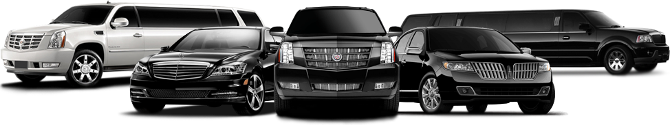 cheap limousine web design